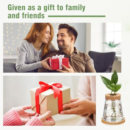 12 Packs Propagation Vases for Plants Plastic Plant Propagation with Hole Lid and Bamboo Stand Growing in Water Hydroponic Home Office Desktop Vase Decoration (Cute Style) - style: Cute Style