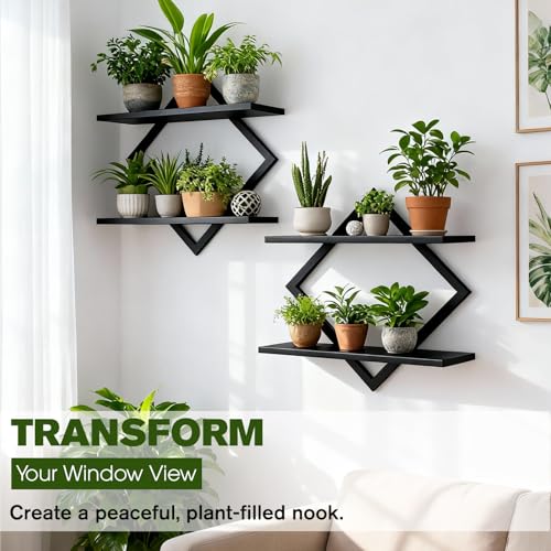 2 Pack Wall Planters for Indoor Plants, Black - color: Black-2pack
