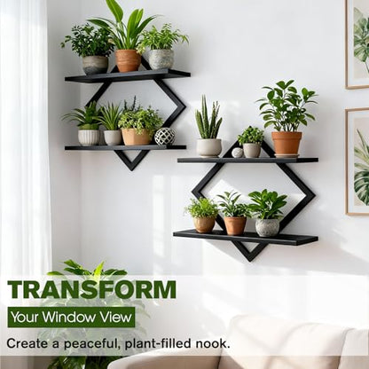 2 Pack Wall Planters for Indoor Plants, Black - color: Black-2pack
