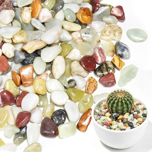 20 lbs Succulent Pebbles,1/2 Inch Small Rocks for Plants - color: Mixed Color, size: 1/2 Inch 20 LB