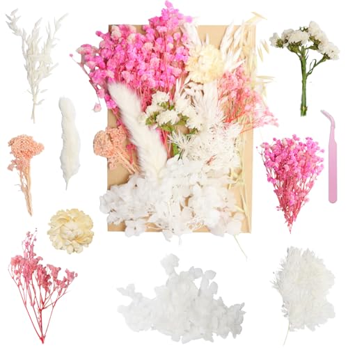 Real Dried Flowers for Resin, Natural Pressed Flowers (White Pink) | Natural mixed dried flower pack with tweezers for DIY resin,crafts,& candles. - color: White Pink