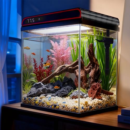 Coospider 5 Gallon Glass Fish Tank, Aquarium Starter Kit, Aquarium Kit with Quiet Filter Pump, 3-Color LED Lights, Simpel Self-Cleaning, Temp Monitoring for Fish, Shrimp, Family Kids Gift Ideas - size: 5 Gallon-UP