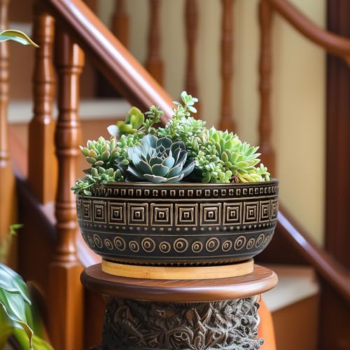 G EPGardening 8 Inch Ceramic Succulent Planter Pots for Indoor Plants Round Shallow Bonsai Planter Pot with Drainage and Bamboo Saucer, Black - color: Black