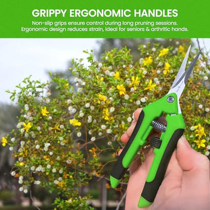 GARDEN GURU Razor Sharp Snip – Professional Garden Pruning Shears Trimmers – Super Sharp Micro-Tip Precision Stainless Steel Blades - Ergonomic Handles Easy on Arthritic Hands - 1 Case (100 Pcs) - size: 100 Pack, style: Snips