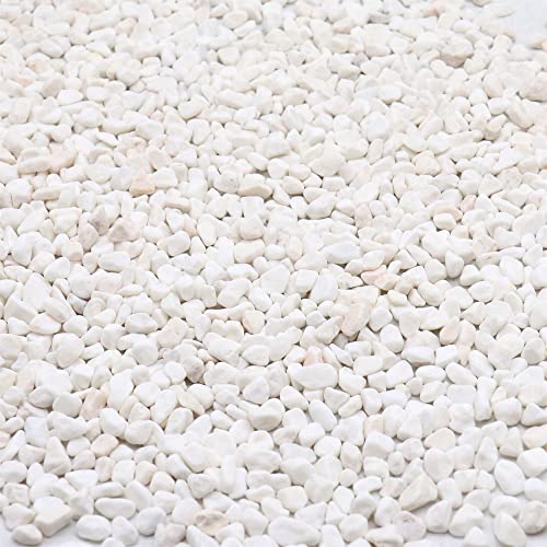 White Rocks for Plants & Planters, Decorative Pebbles, 1/5 Inch, 10 lb - color: WHITE - TUMBLED, size: Mini (0.2 Inch)