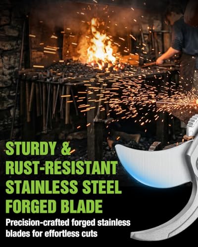 WORKPRO 8.5" Bypass Pruning Shears, Professional Forged Garden Shears | Forged Stainless Steel Blades, 3/4" Cut Capacity, Spring-Loaded, Safety Lock, Hand Pruner for Trimming, Bonsai, Flowers