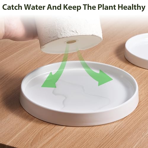 Ceramic Plant Saucer 6.5 Inch 2 Pack White, Fits Pot Base Under 6 Inch | Sturdy, Leak-Proof, Indoor Outdoor Planter Base, Plant Pot Tray Plate for Flower Pots to Catch Water Drip & Drainage - size: 6.5in 2pack