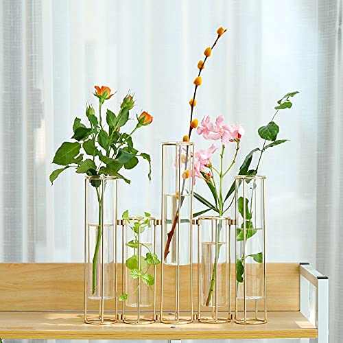 Gold Vases for Centerpieces, Test Tube Flower Vase with 5 Test Tubes, Gold Flower Vase with Metal Stand Racks Hydroponic, Glass Hinged Propagation Plant Vase for Wedding Table Home Decor