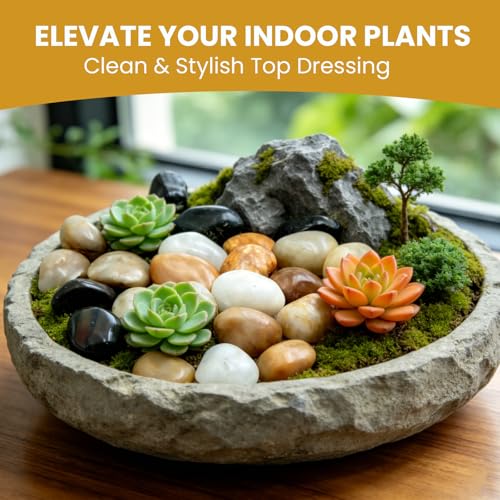 12 LB,1‑2 inch Mixed Polished Pebbles for Aquarium,Vase Filler - color: Mixed, size: 12LB