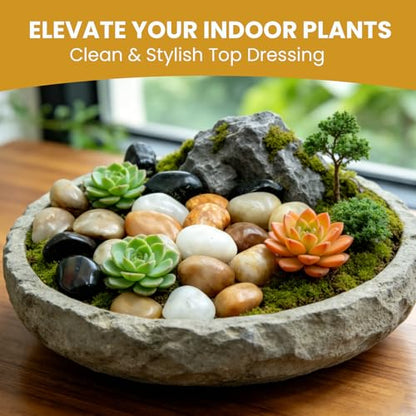 12 LB,1‑2 inch Mixed Polished Pebbles for Aquarium,Vase Filler - color: Mixed, size: 12LB