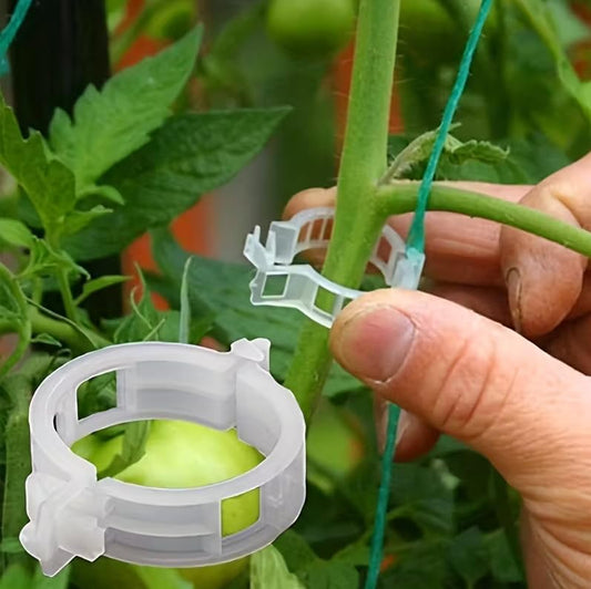 Pack Plant Support Clips, Reusable Plastic Vine Clips, Garden Tomato Clips for Climbing Plants, Vegetables, Flowers, Vines to Stems and Stakes (White 50Pcs) - color: White 50pcs