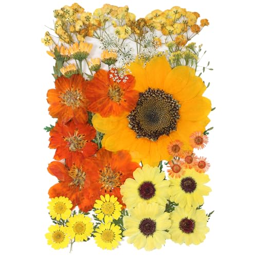 50 Pcs Dried Flowers for Resin,Real Pressed Flowers Leaves Mixed Multiple Natural Kit for Christmas DIY Gift,Art Crafts,Candle, Soap Making, Nails Decor - color: Yellow