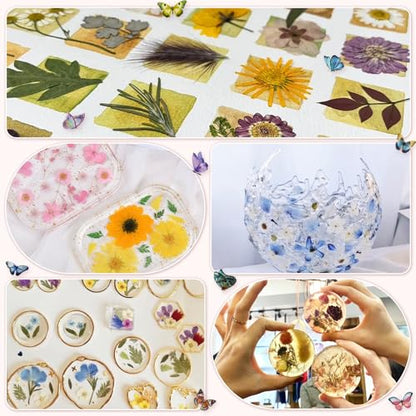 303Pcs Dried Pressed Flowers for Crafts, Dried Pressed Flowers for Resin, Natural Dried Flowers Kit with 80pcs Butterfly Stickers for DIY Resin Molds, Candles, Photo Frames, Jewelry Making, Art Crafts