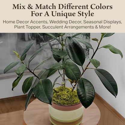 Spanish Moss Bulk, Preserved Moss, Chartreuse, Box - color: Chartreuse, size: Large
