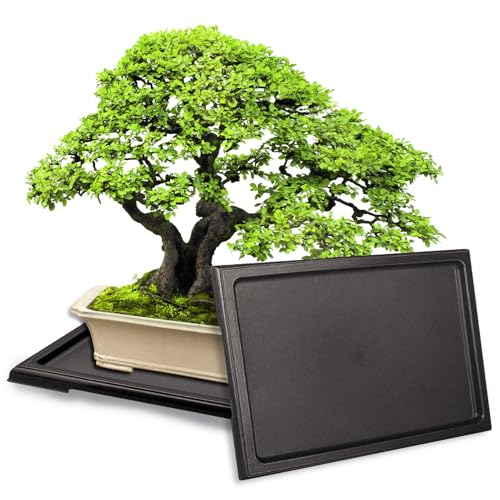 KEOHOLI 2 Packs Bonsai Humidity Plant Tray Drip Trays, Square Plastic Pot Saucer Draining Tray for Indoors Outdoors for Cactus, Succulents, Bonsai Tree, Stone to Drain, Protect, Decorate(11.4*8.4Inch)