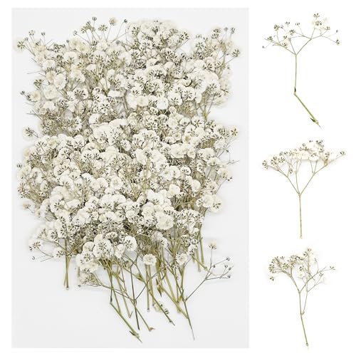 Cayway Real Natural Pressed Flowers, 60 PCS Celestial Flowers for Resin, Nail Art, Scrapbooking, Candle Making, Jewelry Making - color: White-60