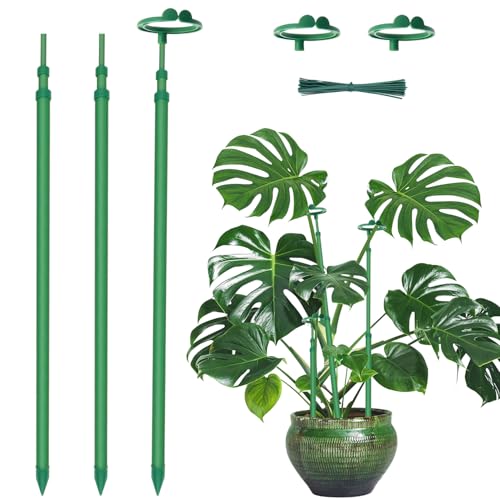 Extendable Monstera Plant Stakes, Support Sticks with Clips 3 Pack | 17.9IN-42.3IN adjustable sturdy plant stakes, indoor outdoor garden support sticks for orchid, tomato and climbing plants. - size: 42.3Inches3PCS