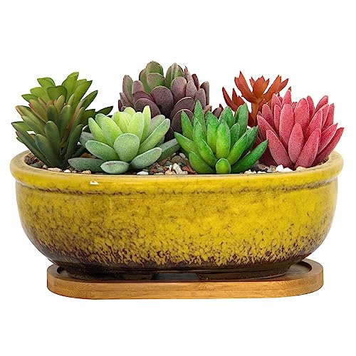 Succulent Pots, 7.9 Inch Large Succulent Planters with Drainage Tray - color: Yellow