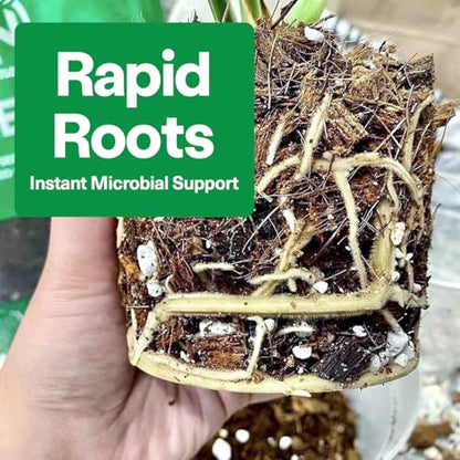 Noot 'Keep House Plants Alive' Bio-Organic Plant Food Liquid Fertilizer, Makes 3.5 Gallons, Root Boosting Mycorrhizae, Fast Growth for Monstera, Aroid, Succulent, Orchid - Use Every Watering (1 Vial) - size: Noot Plant Food (Makes 3.5 Gallons)