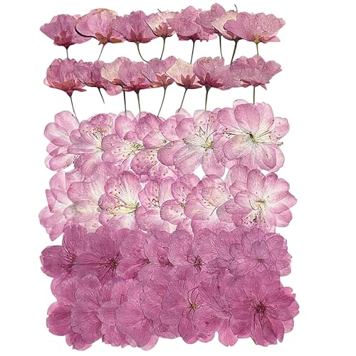48 Pieces of 3 Natural Dried Edible Flowers for Cake Decoration - Pink Mixed Cherry Blossoms, Cherry Blossoms for Paper Cupcake Decoration, Cocktails, Resin Jewelry, DIY Crafts - color: 48pcs Pansy