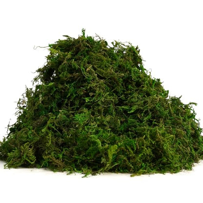 USMOLA Green Moss for Crafts - 4OZ Fake Moss for Indoor Plants, Terrariums, Fairy Gardens & Tabletop Displays | Perfect for Miniature Scenes, Pot Filler & Home Decor Projects