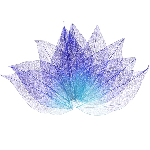 M METERXITY 100-Pack Skeleton Leaves, Natural Rubber Tree Dried Pressed Leaves Vein for Resin/DIY Crafts Card/Scrapbook/Wedding, Small Leaves Decorative [4-6cm, Purple, Blue] - color: Purple, Blue