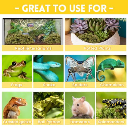 Riare 2.6lb Natural Sphagnum Moss for Reptiles, Terrarium Substrate Bedding | High Expansion, Moisture Retention, Helps Shedding, Long Fibered Dried Moss for Leopard Gecko, Snake, Frog, Turtle - color: 2.6 LB
