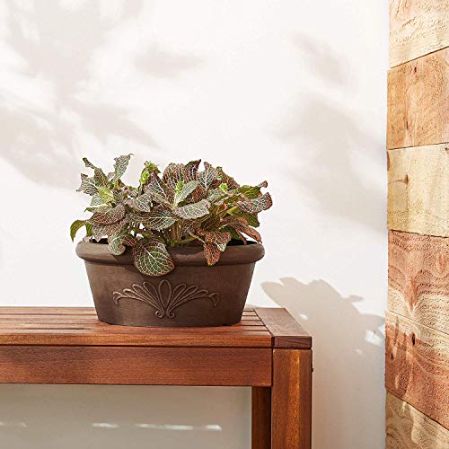 Arcadia Garden Products PSW TA25C Plastic/Stone/Wood Composite Bulb Pan – No Drainage Hole (Drillable), Planter Bowl for Succulents, Bonsai, Fairy Gardens, Herbs,10"x3.5", Chocolate (Pack of 12) - color: Chocolate, size: 10"x3.5" (Pack of 12)