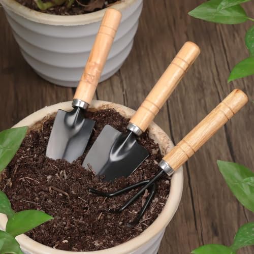 Succulent Tool Kit - 3PC Mini Gardening Set with Rust-Proof Iron Heads & Comfortable Wood Handle, Essential Hand Tools for Precise Potting and Caring Houseplants, Ideal for Beginners
