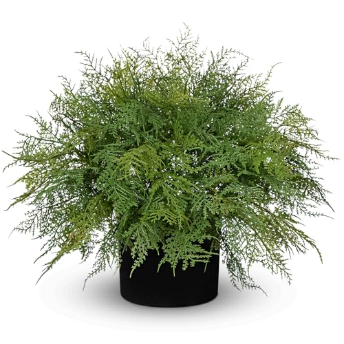 Hollyone 16.9" Artificial Cedar Fern Faux Cedar in Pot Fake Ferns for Outdoors Indoor Large Ferns Faux Potted Plants Greenery Bush for Door Patio Garden Farmhouse Windowsill Office Room Home Decor - color: Large #2