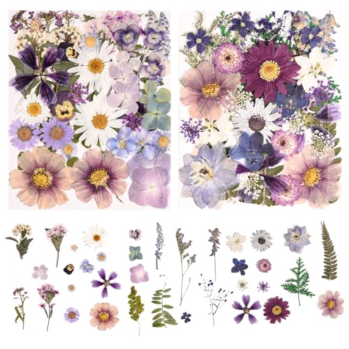 80PCS Pressed Dried Flowers & Leaves, Natural Color | Real Pressed Flowers, Includes Tweezers, For DIY Crafts, Resin Jewelry, Cards, Soap,CandleMaking, Nail Art,Scrapbooking - color: Natural Color