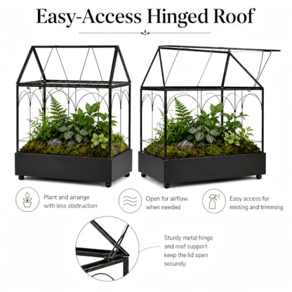 Large Tall Glass Plant Terrarium – House Succulent Terrarium Kit with Lip and Tray Glass Greenhouse Terrarium for Plant 9.5”X5.7”X11.4” - color: Black 3