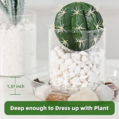 TRUEDAYS 15 Pack(6 inch/8inch/10inch) Clear Plant Saucers Flower Pot Tray Excellent for Indoor & Outdoor Plants - size: 15-Pack (6''+8''+10'')