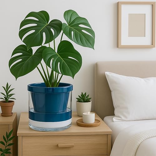 D'vine Dev Self-Watering Blue Terracotta Planter Pot, 8 in, 37-X-C-4 | Terracotta & Glass Design, Clear Water Reservoir, Visible Water Level, Easy Plant Care, Ideal for Busy Plant Lovers - color: Blue, size: 8 Inch