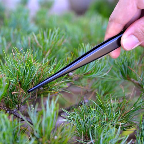 KAKURI Bonsai Tweezers Straight Serrated Tips with Spatula 8.8" - Made in Japan - Professional Bonsai Care Tool - Black Coated Japanese Stainless Steel - color: Black (Straight)