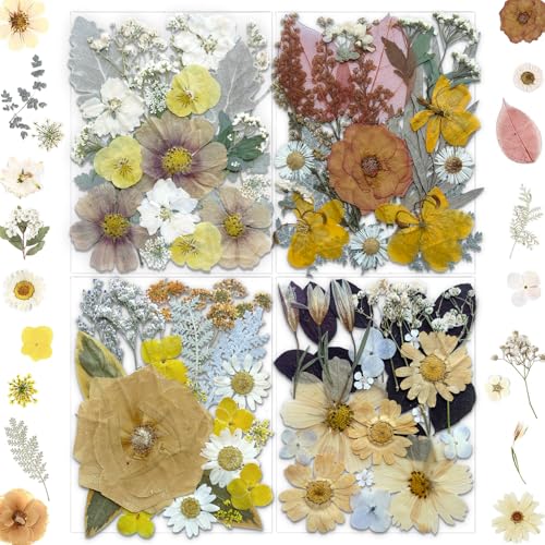 MIKIYA 90Pcs Dried Pressed Flowers for Resin Molds, Vintage White Bulk Real Natural Dry Floral for DIY Art Crafts, Epoxy Jewelry, Candle, Soap Making, Nails Decor, Phone Case - color: White