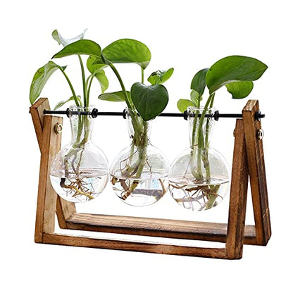 XXXFLOWER Plant Terrarium Propagation Station with Wooden Stand, Air Planter Glass Vase Home Indoor Office Decoration - 3 Bulb Vase + Test Tubes 3 Tiers
