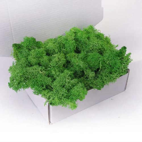 Preserved Moss-3.5 OZ Moss for Crafts Faux Moss Decor Natural Green Moss for Art Wall Florist Decor(Green 3.5 OZ) - color: GREEN, size: 3.5OZ