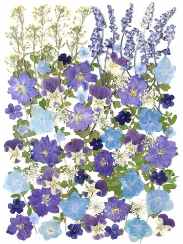 100 PCS Real Dried Pressed Flowers Leaves Natural Plant Herbarium for DIY Resin Mold Jewelry Making Craft (Blue) - color: Blue-100pcs