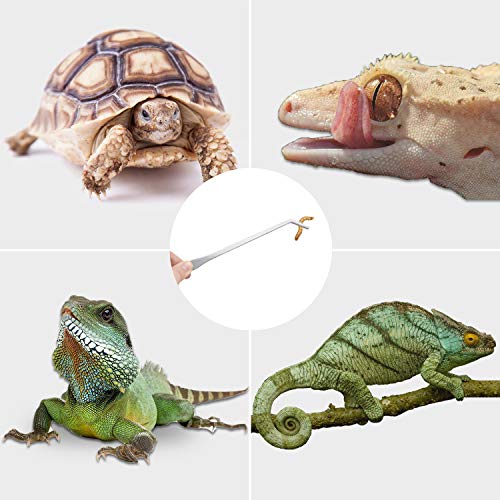 3PCS 10.6" Stainless Steel Aquarium & Reptile Feeding Tweezers | Straight & Curved Tips, Extra Long, For Lizards Snakes Bearded Dragon, Plant, Aquascape Terrarium Tank Tools,Accessories