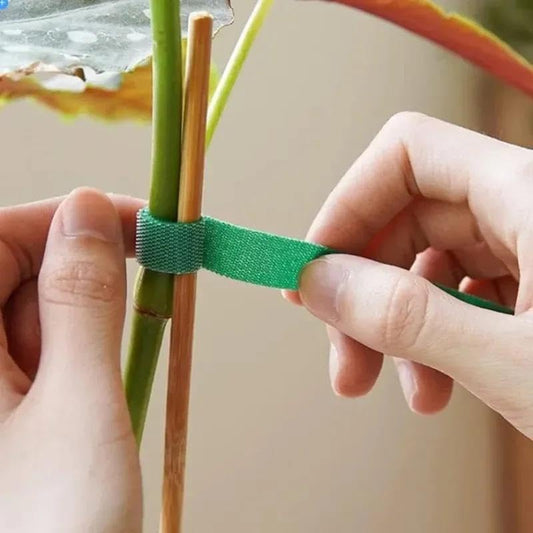 5M Garden Plant Support Ties, Self-Adhesive Nylon Binding Strap, Reusable, Green