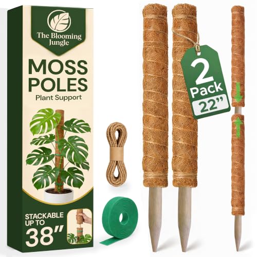 2 Pack 22" Moss Pole Monstera Plant Support - Stackable up to 38" | Plant Stakes for Indoor Climbing Plants Potted - Tall Coco Coir Pole Sticks & Accessories for Monstera, Pothos & Philodendron - size: 38 Inch (Pack of 2)