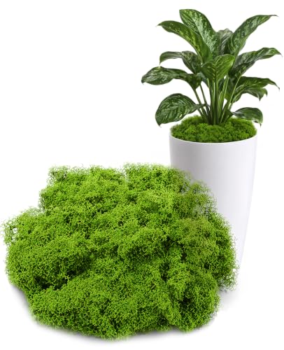 15.9oz Fake Green Moss for Plants Indoor, Artificial Faux Sheet Musgo for Crafts DIY Decor