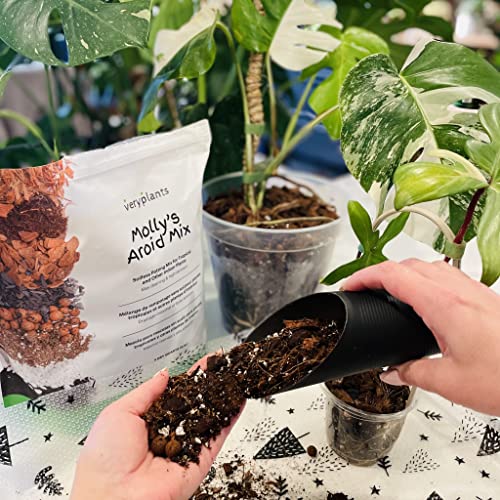 Molly's Aroid Potting Mix, Chunky Soil-Free for Indoor Plants, 5 Dry Quarts - size: 5 Dry Quarts, style: Houseplants & Aroids