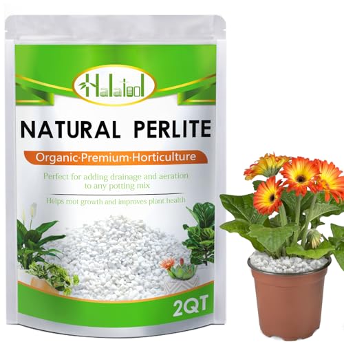 Perlite for Plants, 2QT Natural Soil Amendment for Potting Mix - size: 2 qt