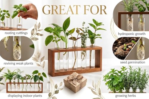Wooden Plant Propagation Station Stand with Single Glass Test Tube Indoor Desktop Terrarium for Hydroponics Water Plant Cutting Flower Vase Planter Home Office Garden Decor Plant Lover Gifts, Brown