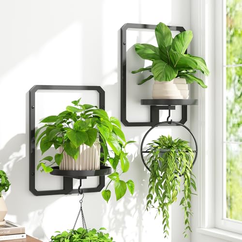 iDavosic.ly Wall Plant Picture Frame Holder Set of 2 for Indoor, Black - color: Black, 2-pack, size: Rectangular