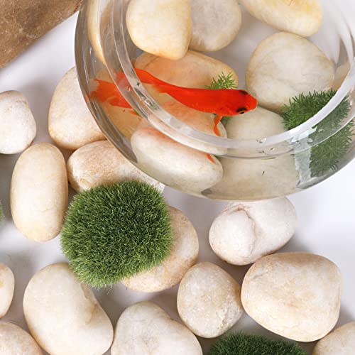 11LB Stones Pebbles River Rocks, 100% Natural Hand-Picked Premium Decorative Pebbles, Ideal for Garden Landscaping, Home Decor, Aquariums, Painting, Crafting and Gifts, Cream White - size: 11 Pounds, style: Cream White