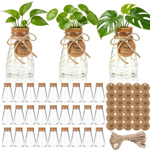 Ysglory 30 Pack Plant Propagation Stations 3.35" Plastic Vases | Clear Hydroponic Jars with Hole Lid Desktop Window Hanging Planter with Thank You Tags for Plant Lovers, Home, Garden, Office