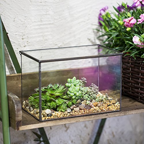 NCYP Small Glass Terrarium Planter with Lid, 6.7 x 4 x 4.8 Inch, Black | Tabletop Closed Terrarium Container for Succulents, Air Plants, Fern, Moss - Rectangle Clear Glass Display Box (No Plants)
